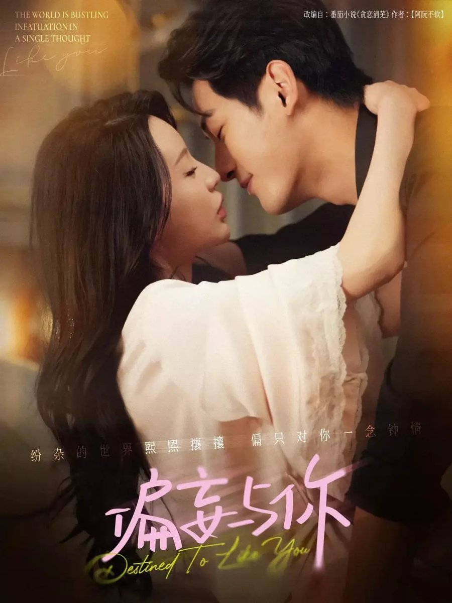 Destined to Like You