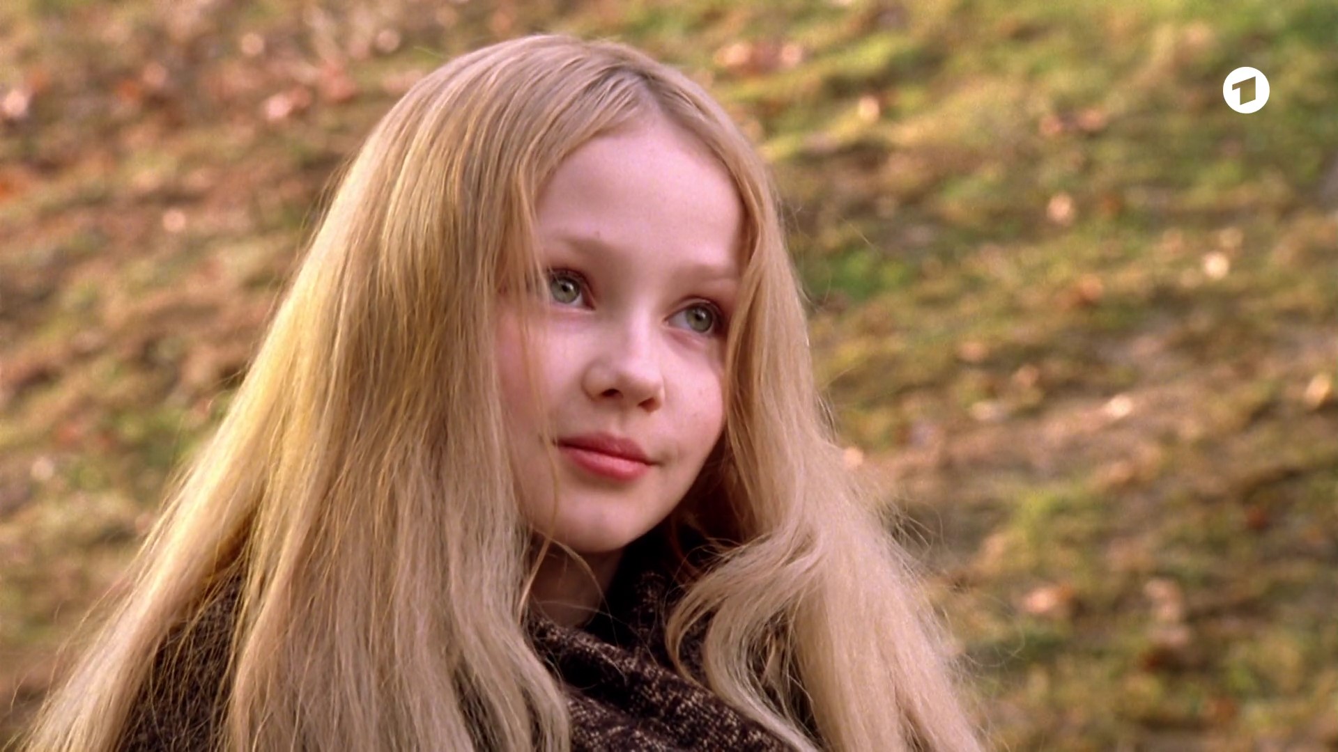 Die Sterntaler (2011) Die Sterntaler (2011)