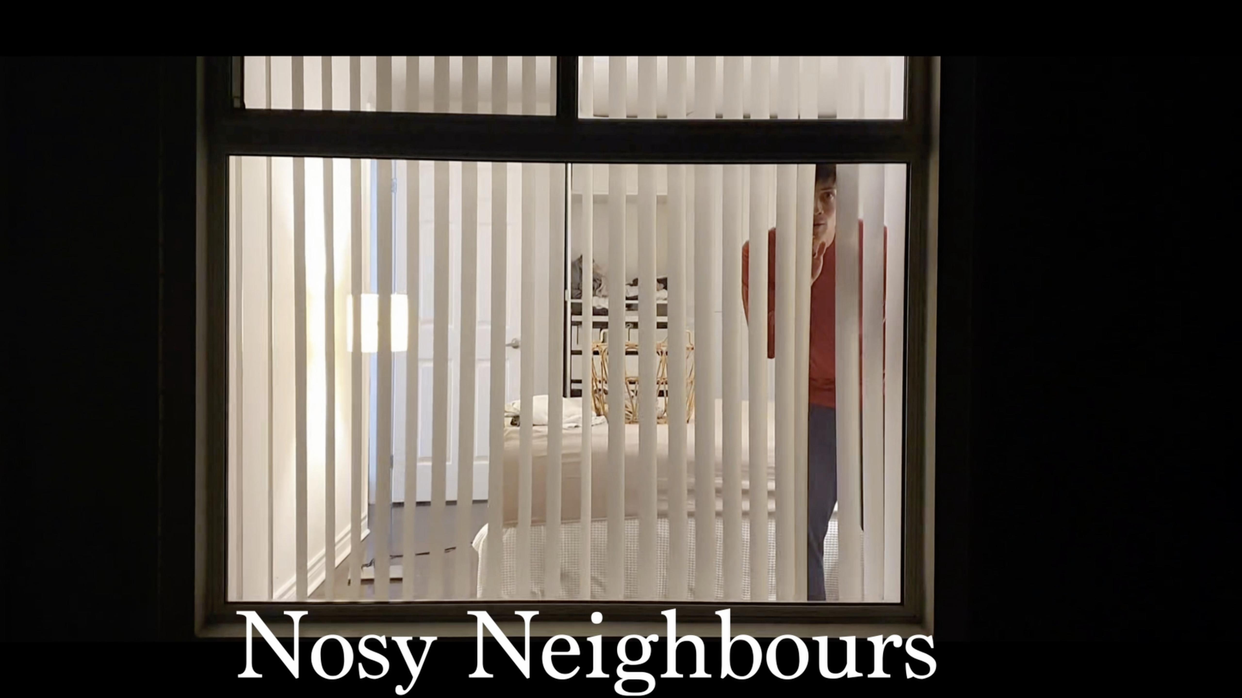 Nosy Neighbours