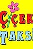 Primary photo for Çiçek Taksi