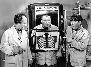 Moe Howard - IMDb