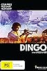 Primary photo for Dingo