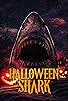 Primary photo for Halloween Shark Primary photo for Halloween Shark
