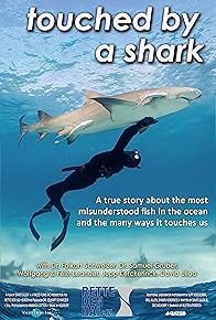 Primary photo for Touched by a Shark