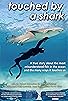 Primary photo for Touched by a Shark Primary photo for Touched by a Shark