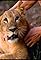 Heart Like a Lion's primary photo