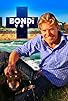 Primary photo for Bondi Vet Primary photo for Bondi Vet