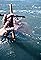 Drowned at Birth's primary photo