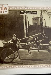 Primary photo for Wildcat Willie