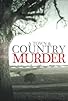 Primary photo for There's No Such Thing as a Perfect Murder Primary photo for There's No Such Thing as a Perfect Murder