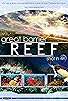 Primary photo for Great Barrier Reef 4K