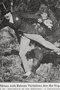 Primary photo for Beresford and the Baboons