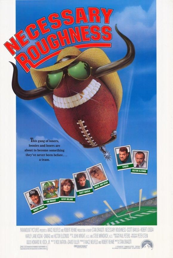 Poster of Necessary Roughness