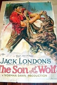 Primary photo for The Son of the Wolf