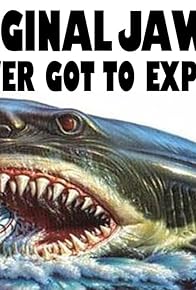 Primary photo for Jaws: The Ride You Never Experienced