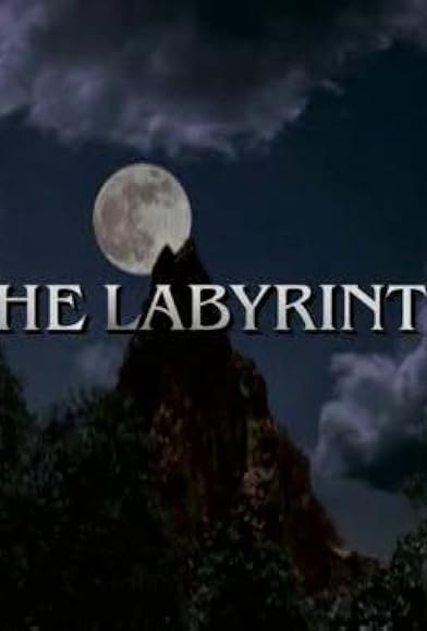 Primary photo for The Labyrinth Primary photo for The Labyrinth
