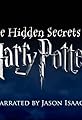 The Hidden Secrets of Harry Potter's primary photo