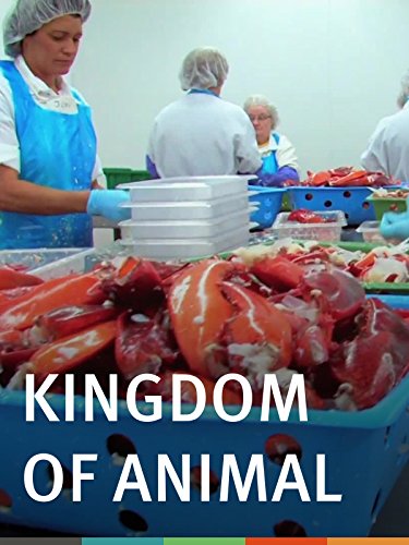 Kingdom of Animal
