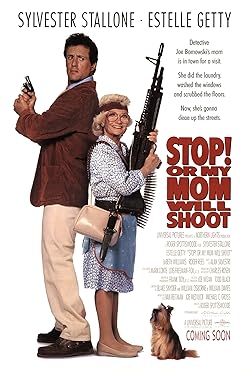 Poster of Stop! Or My Mom Will Shoot