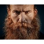 Actor: Bertrand-Xavier Corbi