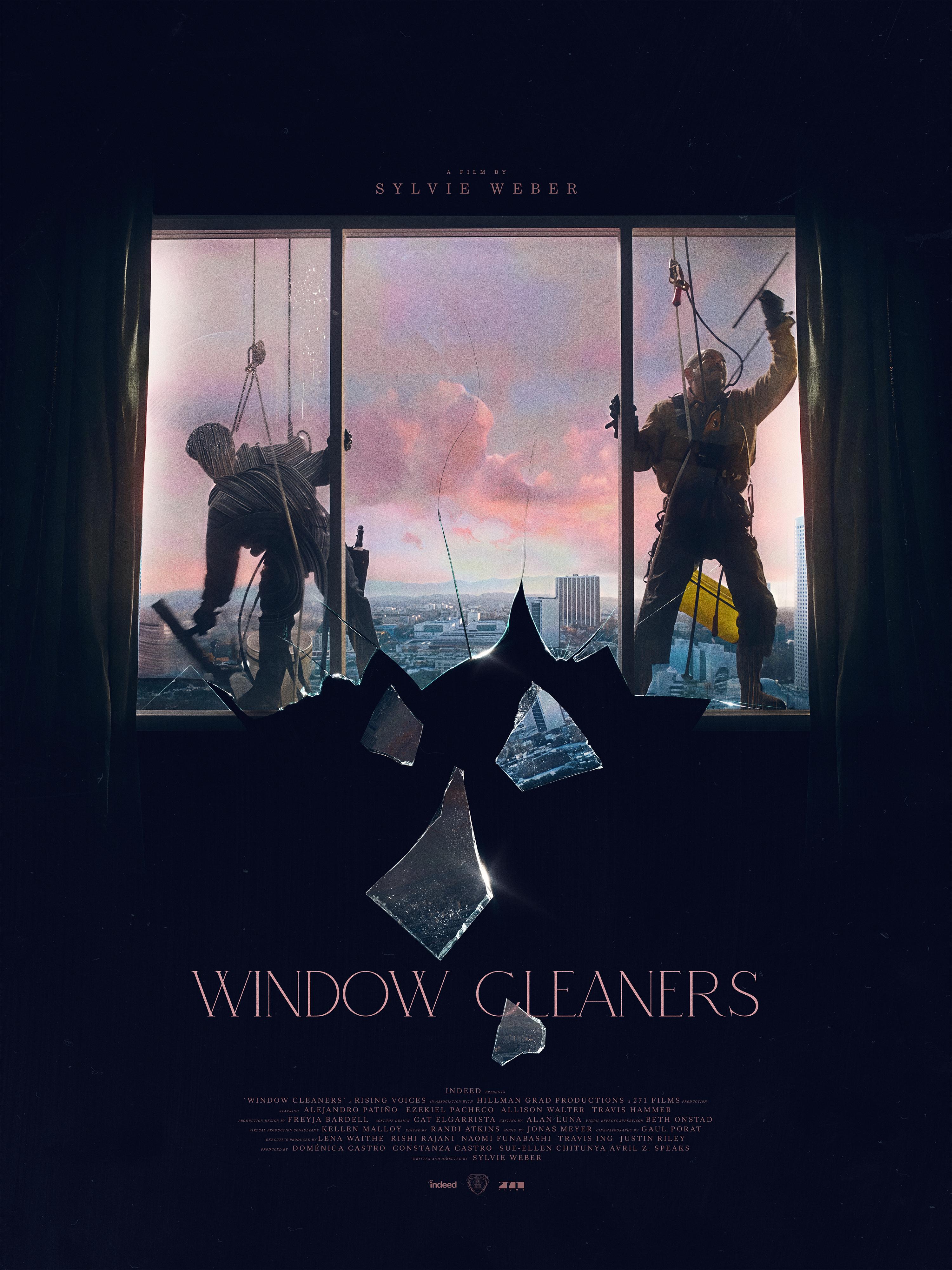 Window Cleaners