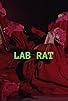 Primary photo for Lab Rat Primary photo for Lab Rat
