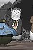 Primary photo for The Democratic People's Republic of Kitty City Primary photo for The Democratic People's Republic of Kitty City