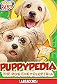 Puppy-Pedia the Dog Encyclopedia: Labradors's primary photo