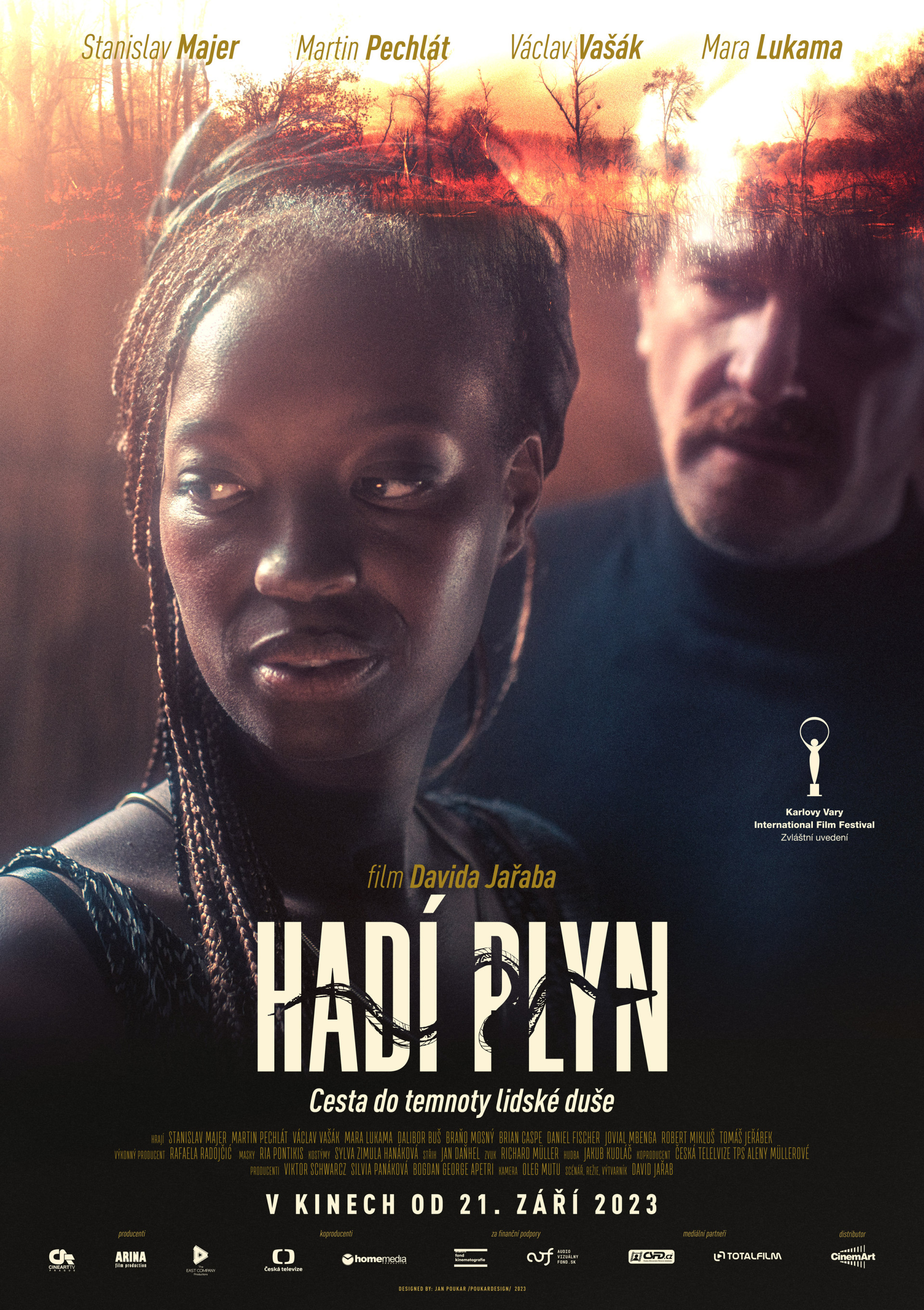 Poster of Hadí plyn