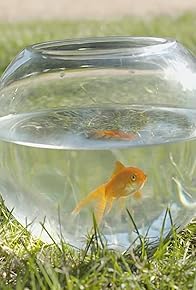 Primary photo for Fishbowl