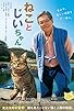 Primary photo for The Island of Cats
