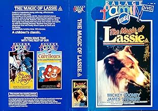 पोस्टर देखें