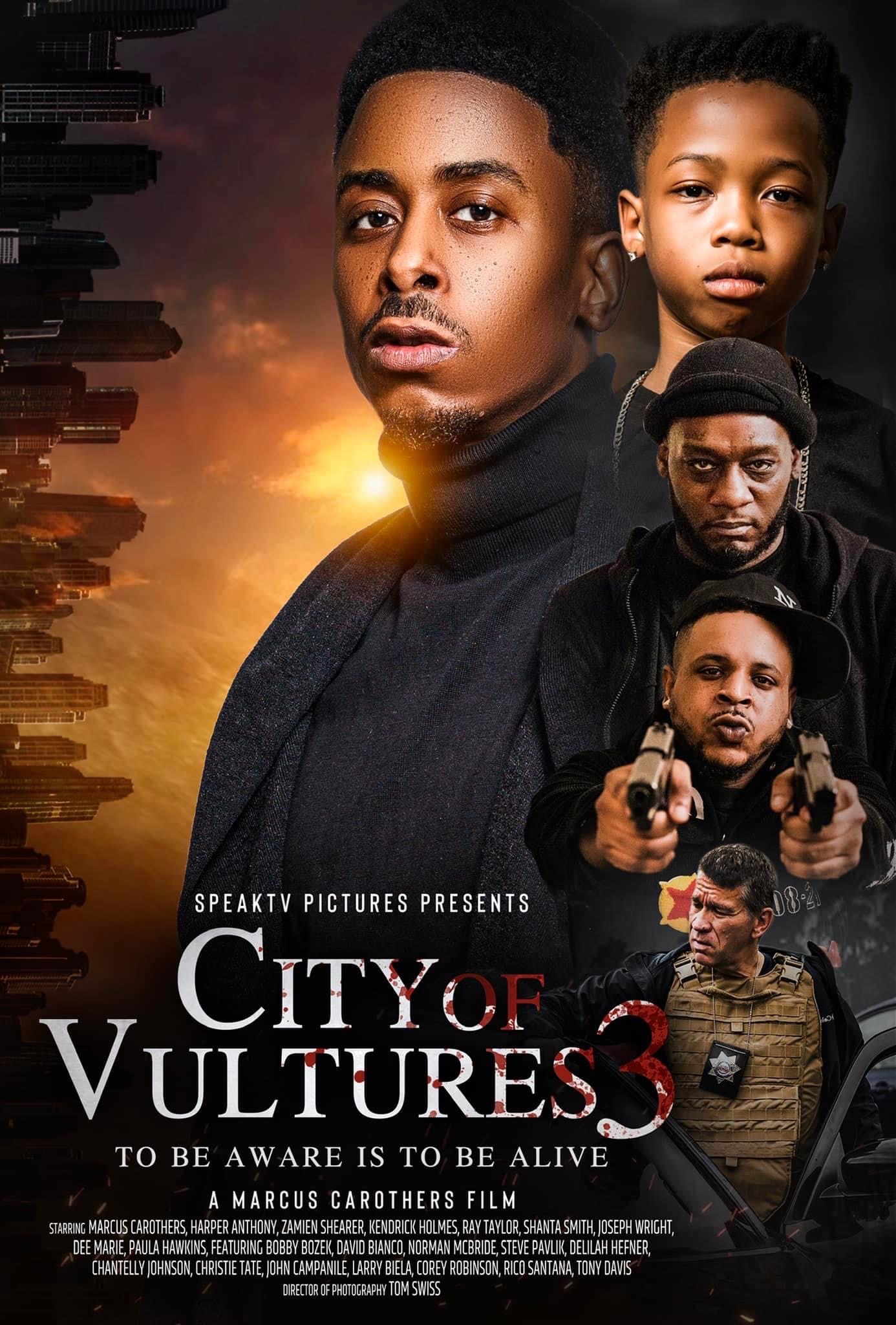 Poster of City of Vultures 3