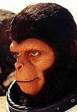 पोस्टर देखें