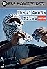 Primary photo for Al Qaeda's New Front Primary photo for Al Qaeda's New Front