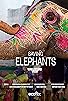 Primary photo for Saving Elephants Primary photo for Saving Elephants