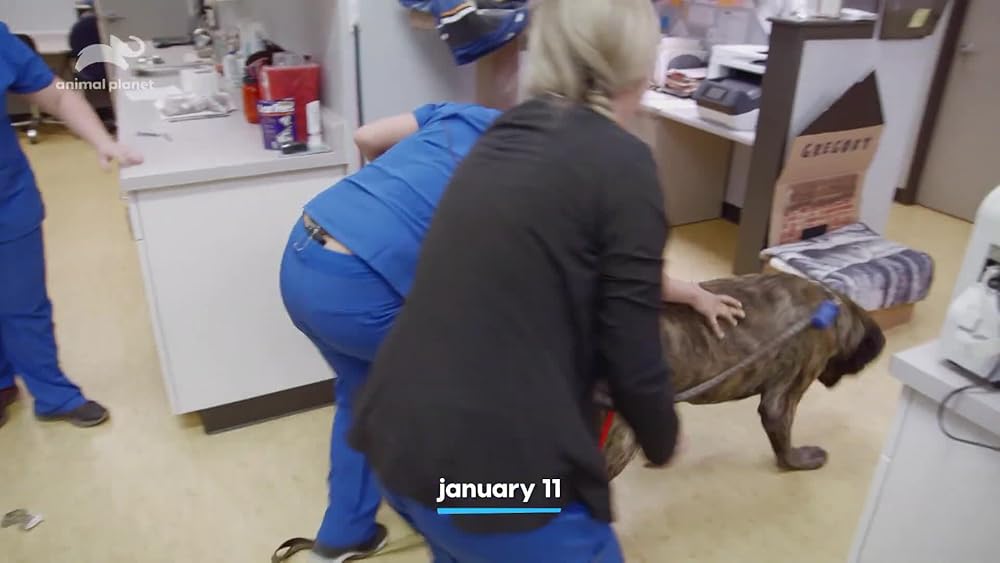 Hanging with the Hendersons Hanging With The Hendersons IMDb