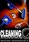 Cleaning's primary photo