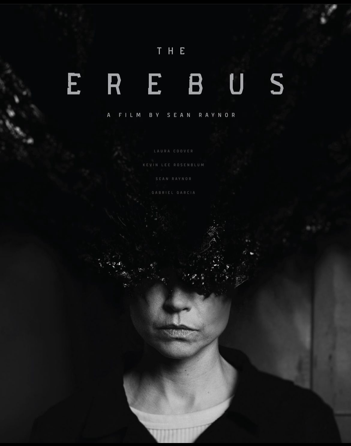 The Erebus