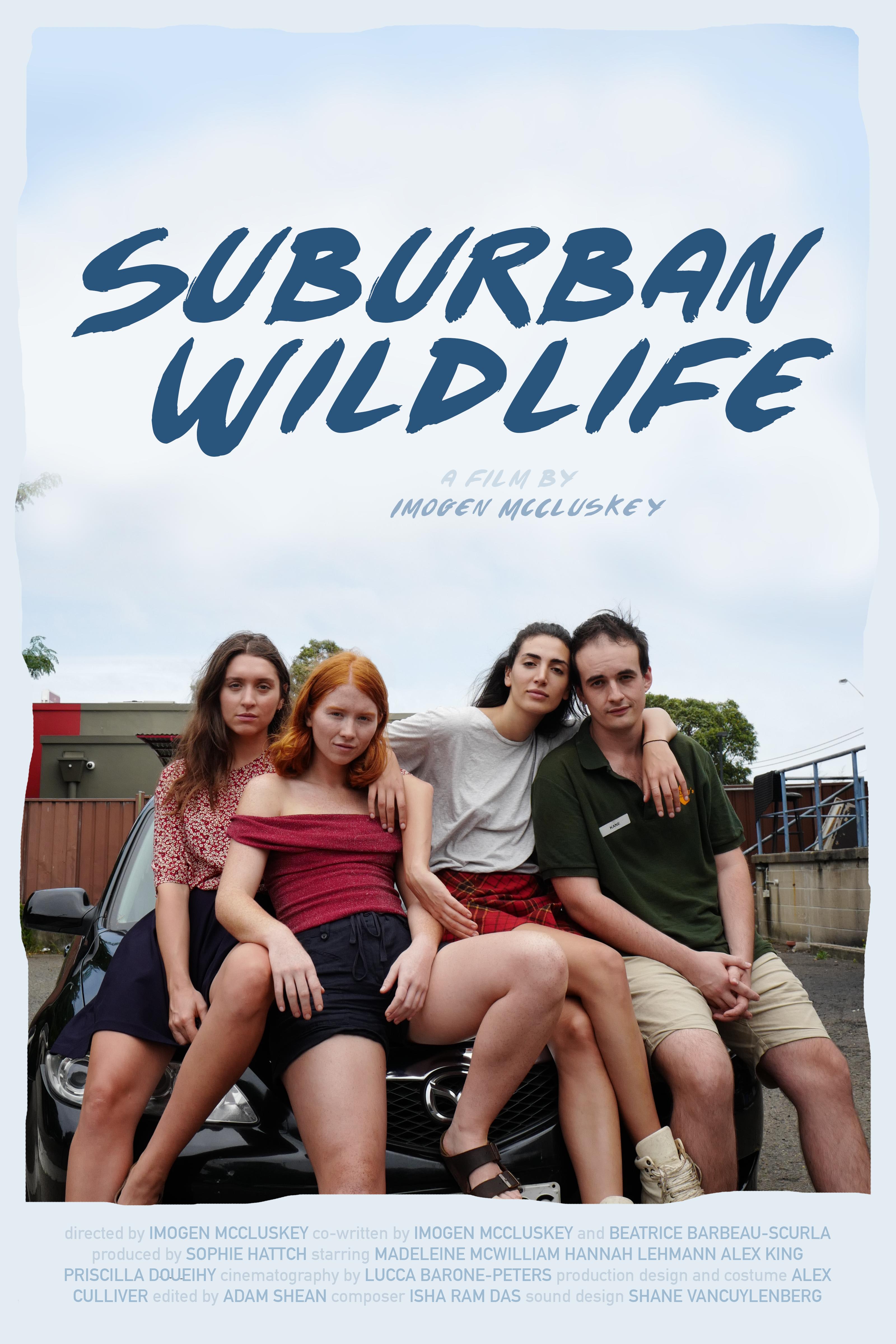 Poster of Suburban Wildlife