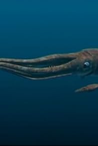 Primary photo for Giant Squid Found