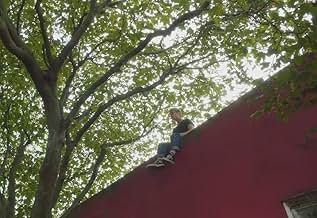 पोस्टर देखें