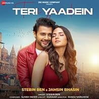 Primary photo for Stebin Ben: Teri Yaadein
