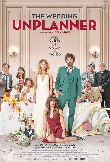 The Wedding Unplanner 2020 movie poster - watch and download free