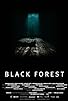Primary photo for Black Forest