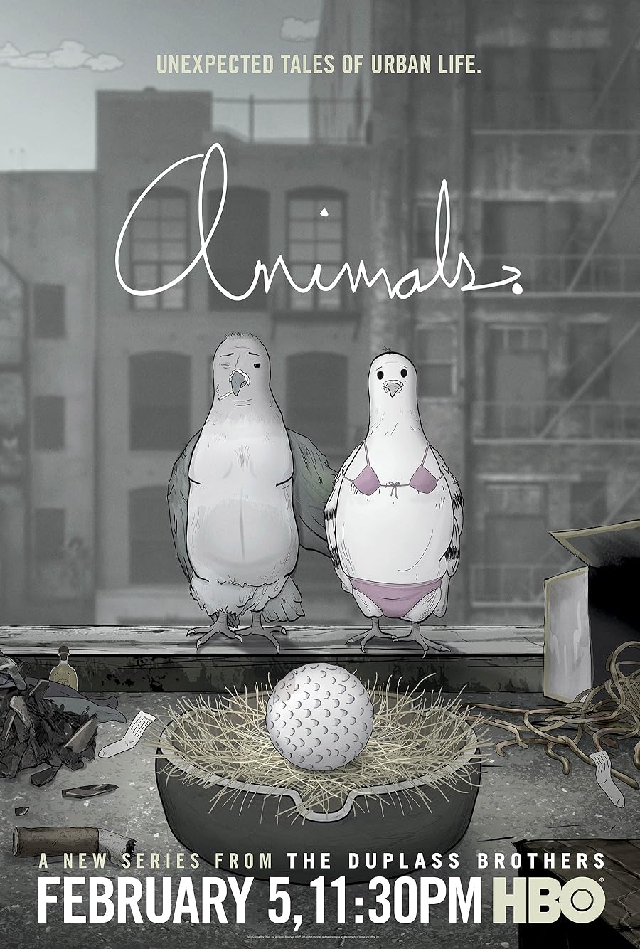 Animals. Poster