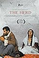 The Herd's primary photo
