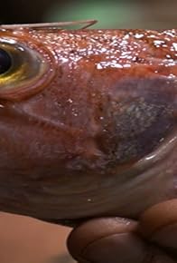 Primary photo for Barcelona - La Boqueria