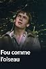 Primary photo for Fou comme l'oiseau Primary photo for Fou comme l'oiseau