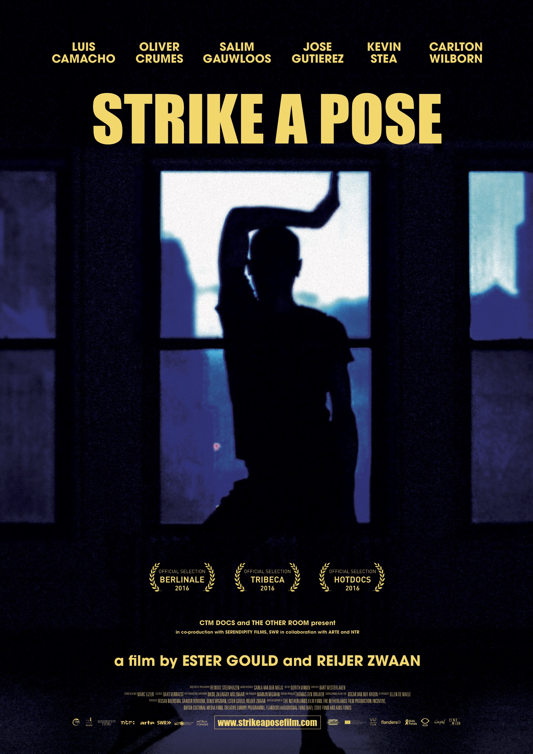 Poster of Strike a Pose